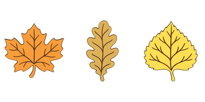 Autumn leaves printable designs